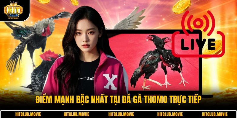 Điểm mạnh bậc nhất tại đá gà thomo trực tiếp 