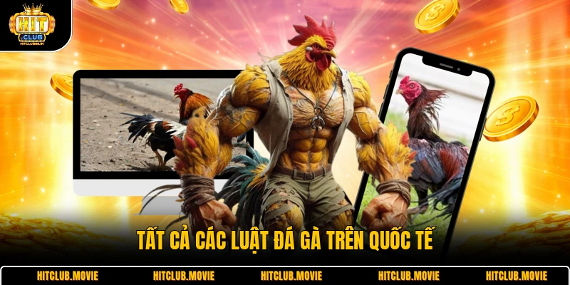 Tất cả các luật đá gà trên quốc tế 