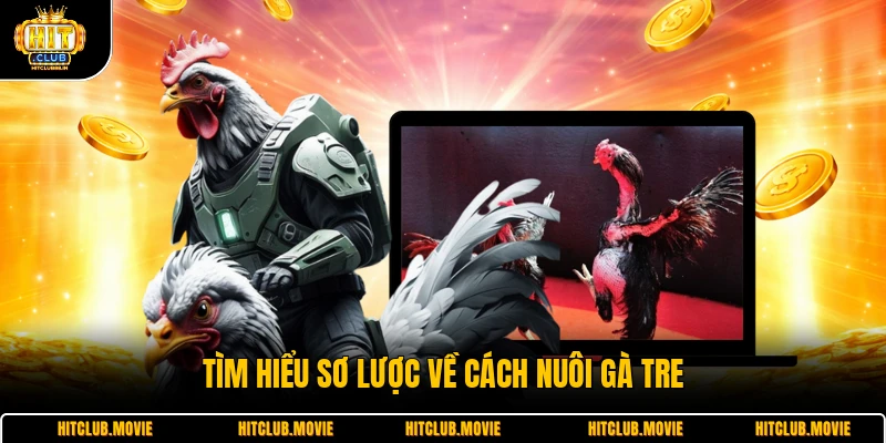 Tìm hiểu sơ lược về cách nuôi gà tre