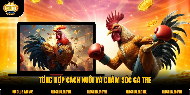 Tổng hợp cách nuôi và chăm sóc gà tre